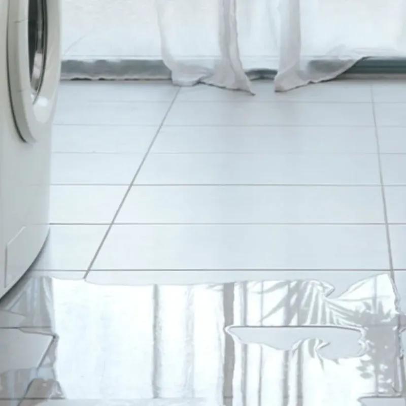 Appliance Leak Cleanup in Martinsville, IL