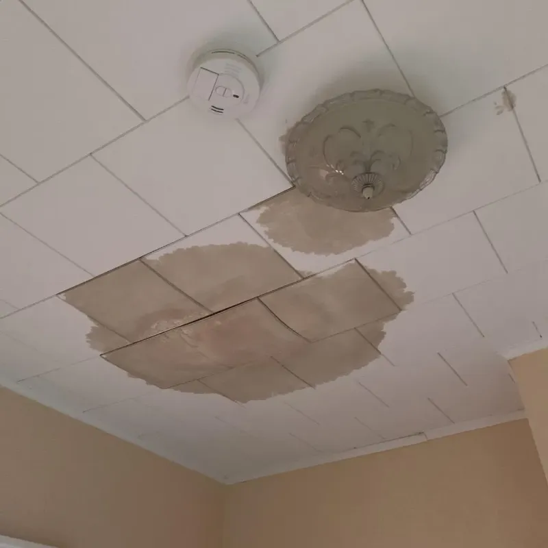 Ceiling Water Damage Repair in Martinsville, IL