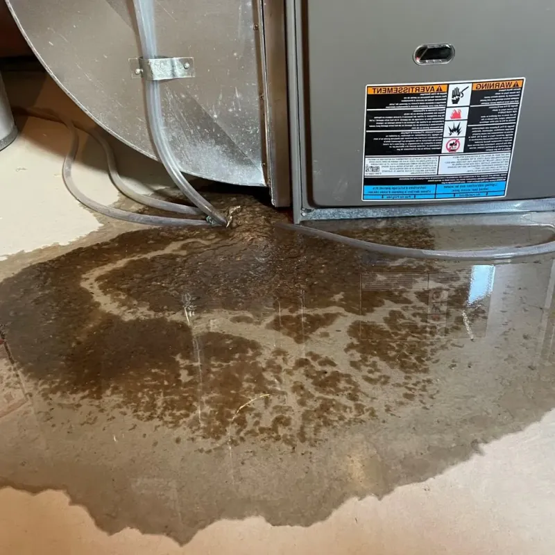 Pipe Burst and Leak Restoration in Martinsville, IL