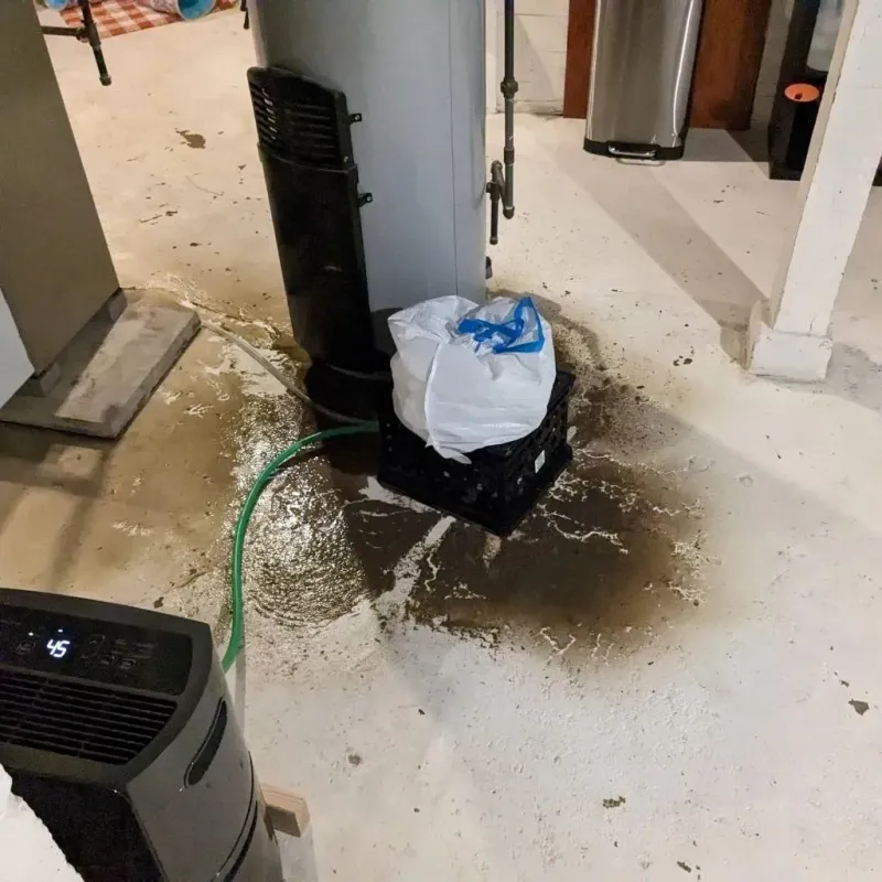 Sewage Backup Cleanup Service in Martinsville, IL